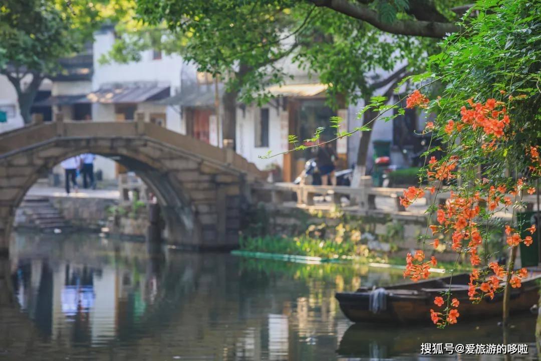 88影视